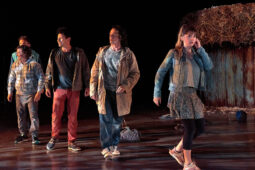 Cie Adhok, Spectacle