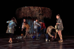Cie Adhok, Spectacle