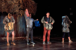 Cie Adhok, Spectacle