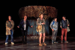 Cie Adhok, Spectacle