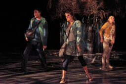 Cie Adhok, Spectacle