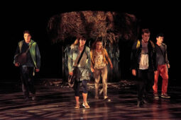 Cie Adhok, Spectacle