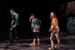 Cie Adhok, Spectacle