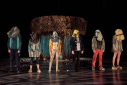 Cie Adhok, Spectacle