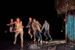 Cie Adhok, Spectacle
