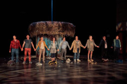 Cie Adhok, Spectacle