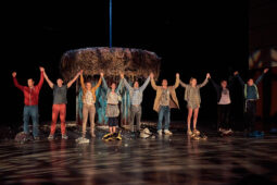 Cie Adhok, Spectacle