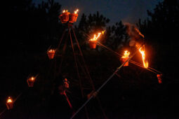 Cia Carabosse, Spectacle
