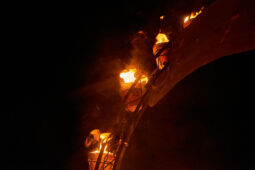 Cia Carabosse, Spectacle