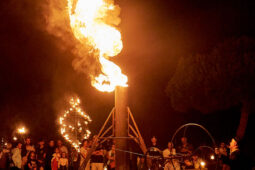 Cia Carabosse, Spectacle
