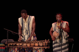 Folklore, Côte d'Ivoire, Spectacle, Ensemble Art et Culture (Côte d'Ivoire)