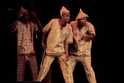 Folklore, Côte d'Ivoire, Spectacle, Ensemble Art et Culture (Côte d'Ivoire)
