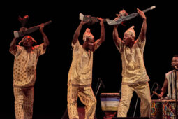 Folklore, Côte d'Ivoire, Spectacle, Ensemble Art et Culture (Côte d'Ivoire)