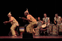 Folklore, Côte d'Ivoire, Spectacle, Ensemble Art et Culture (Côte d'Ivoire)