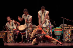 Folklore, Côte d'Ivoire, Spectacle, Ensemble Art et Culture (Côte d'Ivoire)