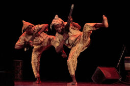 Folklore, Côte d'Ivoire, Spectacle, Ensemble Art et Culture (Côte d'Ivoire)