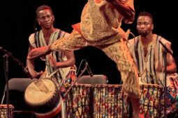 Folklore, Côte d'Ivoire, Spectacle, Ensemble Art et Culture (Côte d'Ivoire)