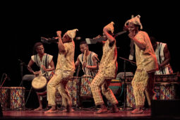 Folklore, Côte d'Ivoire, Spectacle, Ensemble Art et Culture (Côte d'Ivoire)