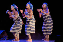 Folklore, Côte d'Ivoire, Spectacle, Ensemble Art et Culture (Côte d'Ivoire)