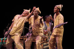 Folklore, Côte d'Ivoire, Spectacle, Ensemble Art et Culture (Côte d'Ivoire)