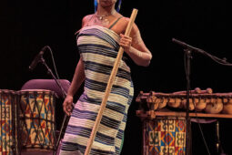 Folklore, Côte d'Ivoire, Spectacle, Ensemble Art et Culture (Côte d'Ivoire)