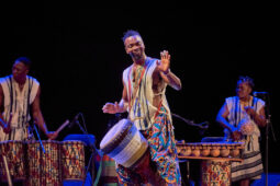 Folklore, Côte d'Ivoire, Spectacle, Ensemble Art et Culture (Côte d'Ivoire)