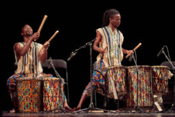 Folklore, Côte d'Ivoire, Spectacle, Ensemble Art et Culture (Côte d'Ivoire)
