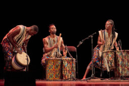 Folklore, Côte d'Ivoire, Spectacle, Ensemble Art et Culture (Côte d'Ivoire)