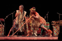 Folklore, Côte d'Ivoire, Spectacle, Ensemble Art et Culture (Côte d'Ivoire)