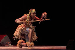 Folklore, Côte d'Ivoire, Spectacle, Ensemble Art et Culture (Côte d'Ivoire)