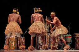 Folklore, Côte d'Ivoire, Spectacle, Ensemble Art et Culture (Côte d'Ivoire)