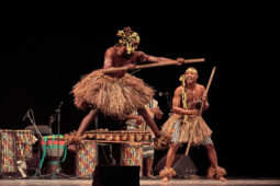 Folklore, Côte d'Ivoire, Spectacle, Ensemble Art et Culture (Côte d'Ivoire)
