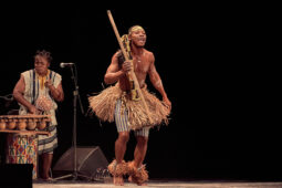 Folklore, Côte d'Ivoire, Spectacle, Ensemble Art et Culture (Côte d'Ivoire)