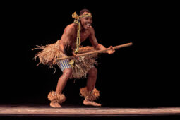 Folklore, Côte d'Ivoire, Spectacle, Ensemble Art et Culture (Côte d'Ivoire)