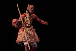 Folklore, Côte d'Ivoire, Spectacle, Ensemble Art et Culture (Côte d'Ivoire)