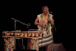 Folklore, Côte d'Ivoire, Spectacle, Ensemble Art et Culture (Côte d'Ivoire)