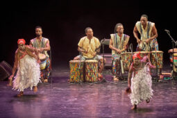 Folklore, Côte d'Ivoire, Spectacle, Ensemble Art et Culture (Côte d'Ivoire)