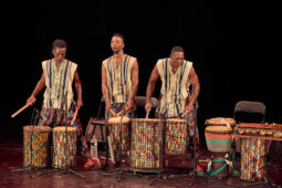 Folklore, Côte d'Ivoire, Spectacle, Ensemble Art et Culture (Côte d'Ivoire)
