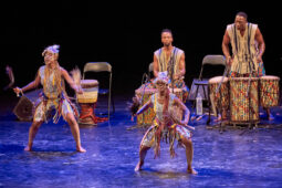 Folklore, Côte d'Ivoire, Spectacle, Ensemble Art et Culture (Côte d'Ivoire)