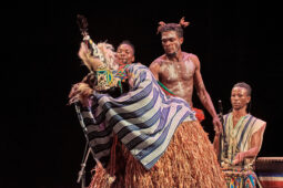 Folklore, Côte d'Ivoire, Spectacle, Ensemble Art et Culture (Côte d'Ivoire)