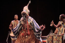Folklore, Côte d'Ivoire, Spectacle, Ensemble Art et Culture (Côte d'Ivoire)