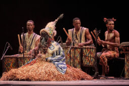 Folklore, Côte d'Ivoire, Spectacle, Ensemble Art et Culture (Côte d'Ivoire)