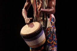 Folklore, Côte d'Ivoire, Spectacle, Ensemble Art et Culture (Côte d'Ivoire)