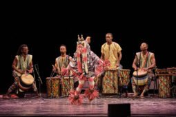 Folklore, Côte d'Ivoire, Spectacle, Ensemble Art et Culture (Côte d'Ivoire)