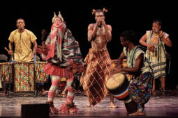Folklore, Côte d'Ivoire, Spectacle, Ensemble Art et Culture (Côte d'Ivoire)