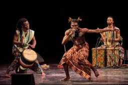 Folklore, Côte d'Ivoire, Spectacle, Ensemble Art et Culture (Côte d'Ivoire)
