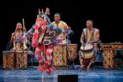 Folklore, Côte d'Ivoire, Spectacle, Ensemble Art et Culture (Côte d'Ivoire)