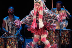 Folklore, Côte d'Ivoire, Spectacle, Ensemble Art et Culture (Côte d'Ivoire)