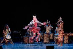 Folklore, Côte d'Ivoire, Spectacle, Ensemble Art et Culture (Côte d'Ivoire)