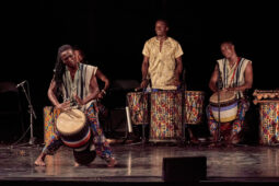 Folklore, Côte d'Ivoire, Spectacle, Ensemble Art et Culture (Côte d'Ivoire)